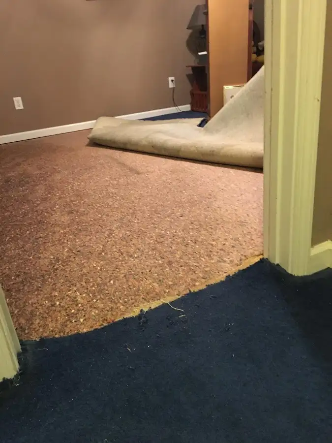 Carpet pad removal revealing water damage during Drying & Dehumidification in Westgate