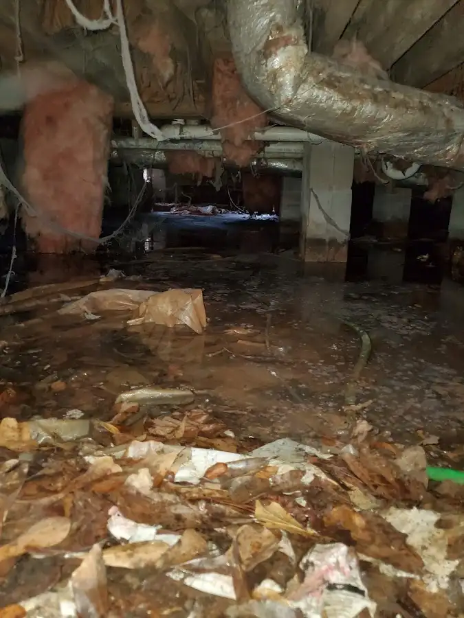 Crawl space flood assessment for Commercial Water Damage Restoration in Westgate