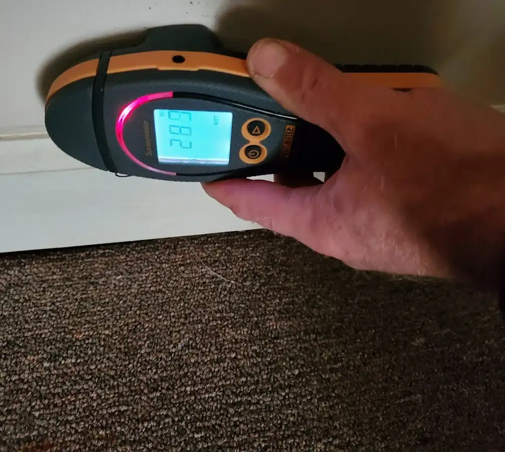 Moisture detection at baseboard during Sewage Cleanup & Sanitation in Westgate